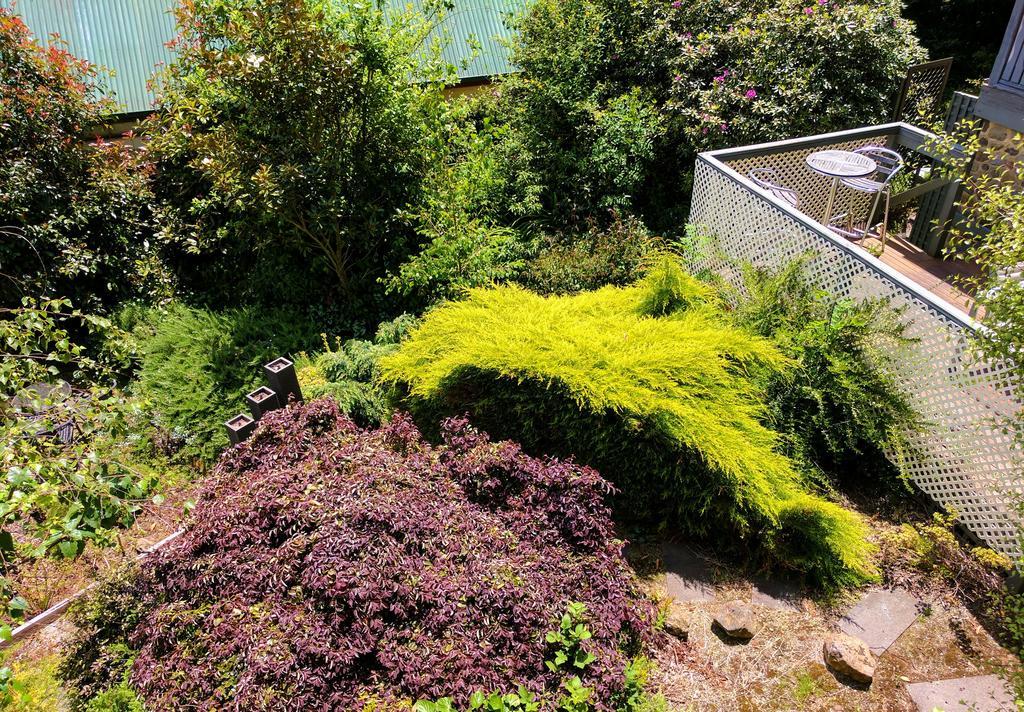 Annie Roes Luxury B&B Bend of Islands Exteriör bild