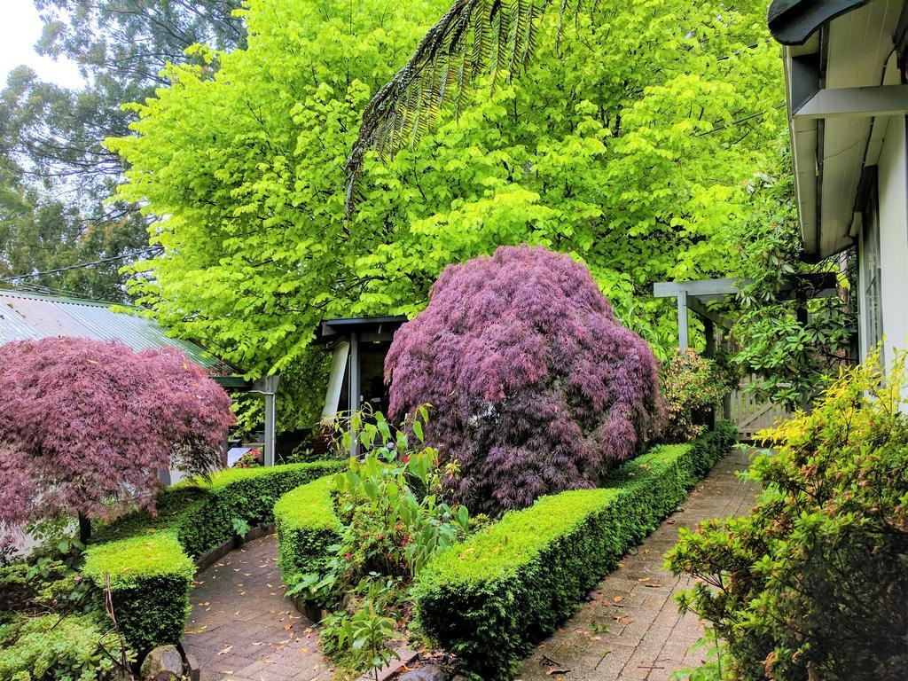 Annie Roes Luxury B&B Bend of Islands Exteriör bild